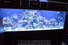 Morské akvárium 1500L, rozmery 250x75x80cm, prerábka interiéru, optimalizácia filtrácie